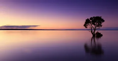 imgi_8_sunset-1373171_1920