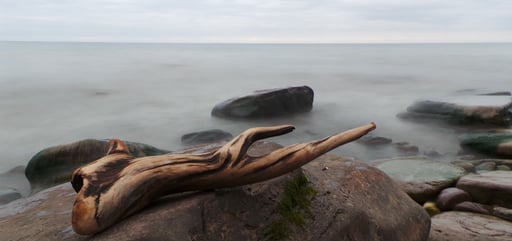 john-silliman-C2bssNMnP6g-unsplash